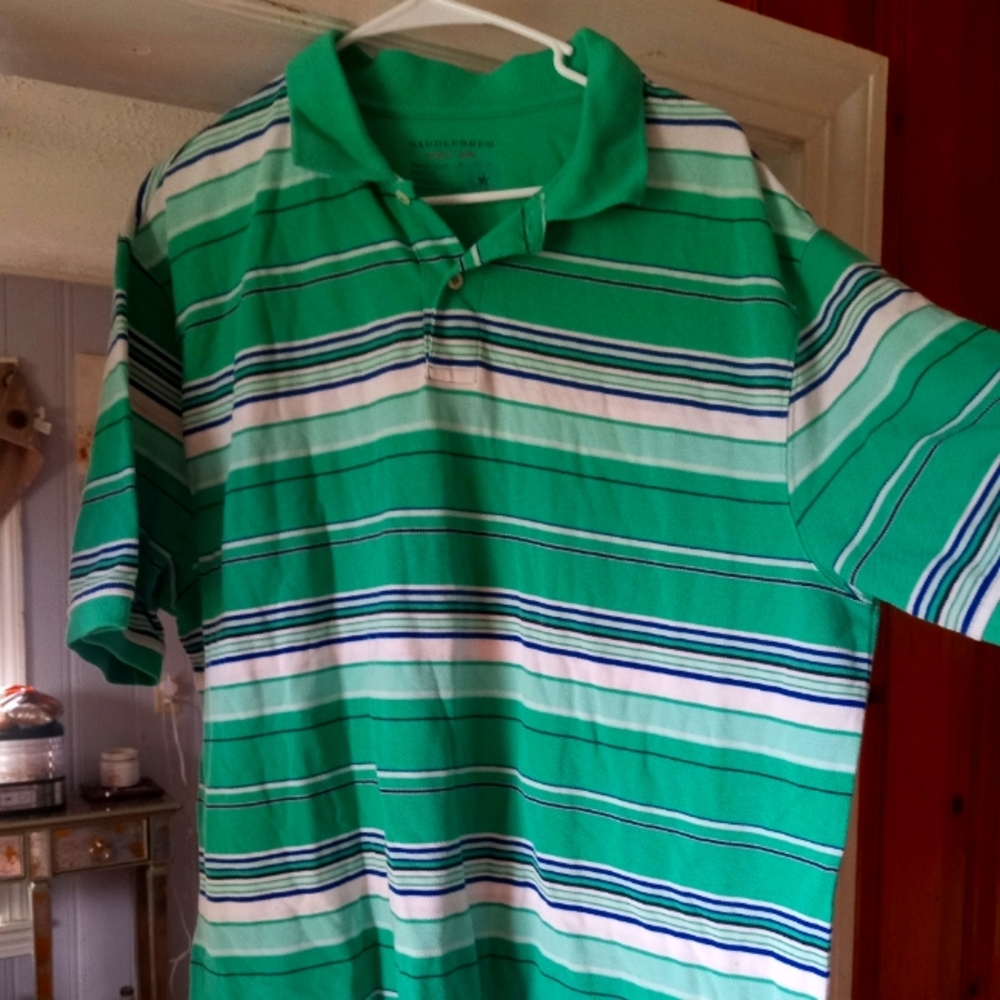 Saddlebred Polo